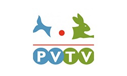 PVTV Online
